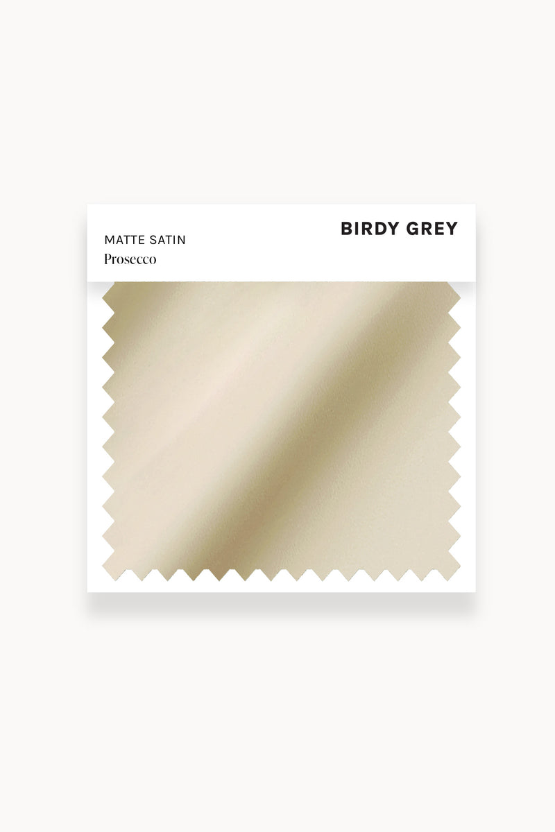 Swatch - Matte Satin in Prosecco by Birdy Grey